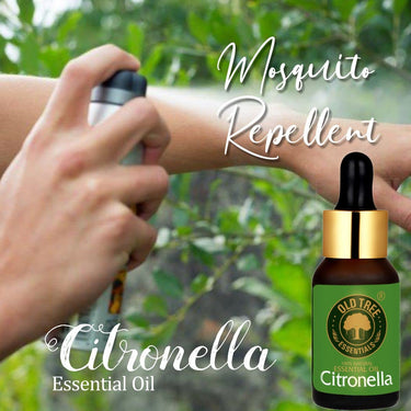 Old Tree Citronella Essential Oil (15ml) - for Skin, Hair Care and Aromatherapy - Pure, Natural and Undiluted Perfume Oil with Glass Dropper for Home Fragrance and Candle Making